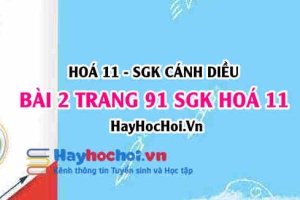 Bài 2 trang 91 SGK Hoá 11 Cánh diều